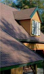 07 Dual brown
